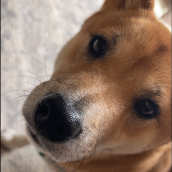 Meet your Posher, Darren - Picture 1 of 1